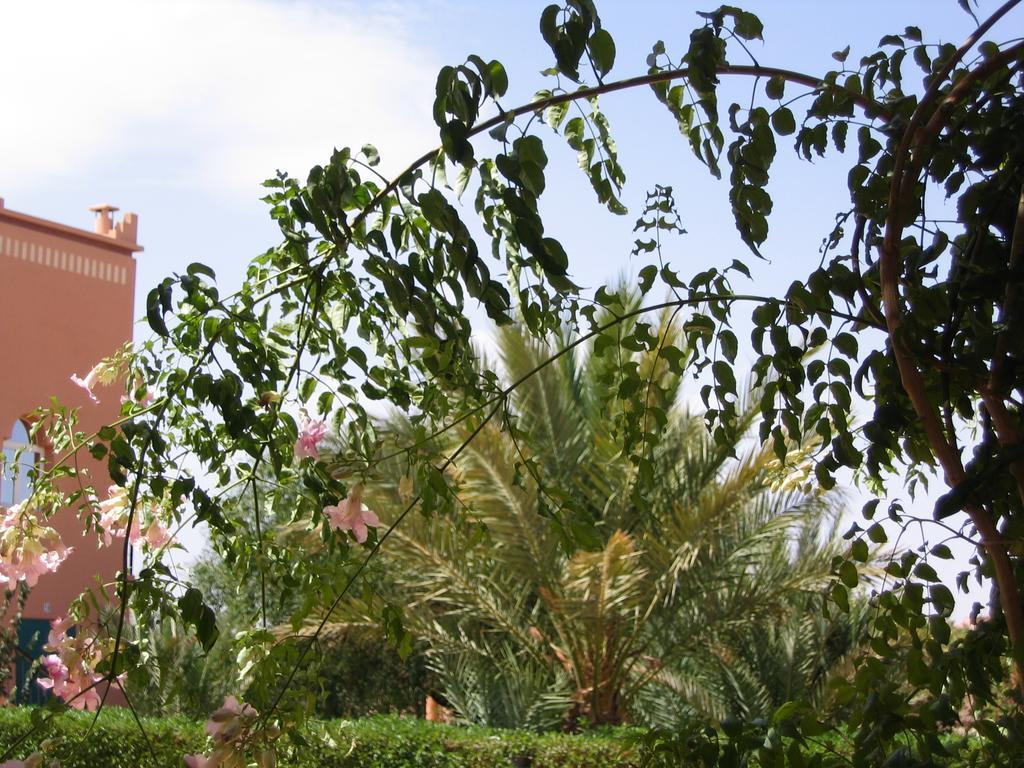 Les Tourmalines Bed & Breakfast Afeggou Luaran gambar