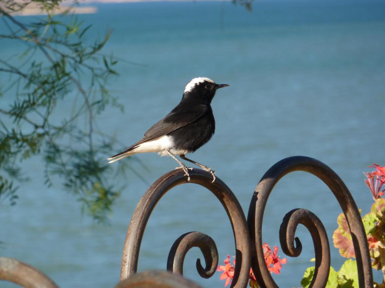 Les Tourmalines Bed & Breakfast Afeggou Luaran gambar